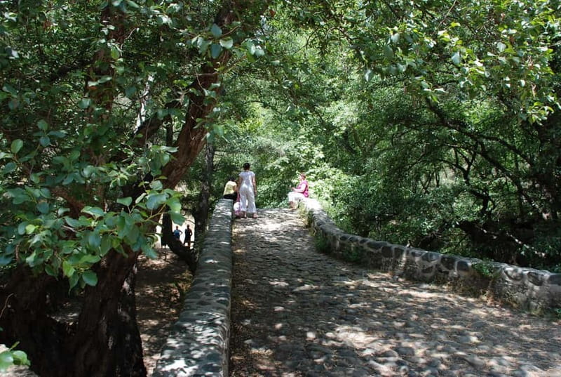 Paphos: Troodos-Kykkos Land Rover Treasure Jeep Safari - Crossing the Venetian Bridge and Troodos Forest