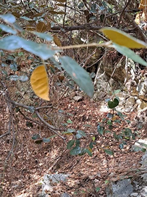 Paphos: Troodos Mountains Jeep Tour with Wine Tasting - Final Thoughts on the Troodos Mountains Jeep Tour