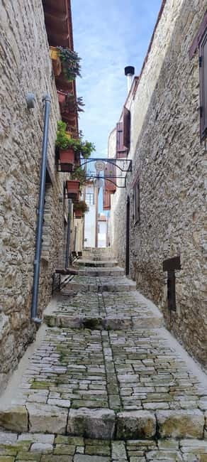 Paphos: Troodos Mountains Villages Tour with Wine Tasting - Scenic Stops at Tzelefos and Venetian Bridges