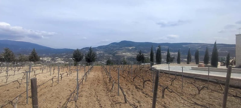 Paphos: Troodos Mountains Villages Tour with Wine Tasting - Luxurious and Unique Wine Tasting Experiences