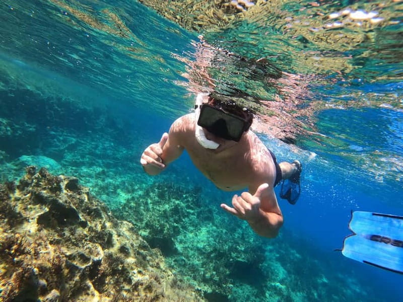 Paphos: Turtle-Watching Snorkeling Sea Scooter Trip - Key Points