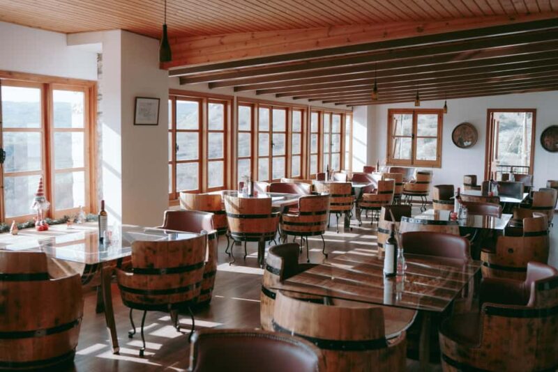 Paphos: Wine and Halloumi Tasting Tour with Pickup - Touring Tsangarides Winery: Tradition and Modern Winemaking