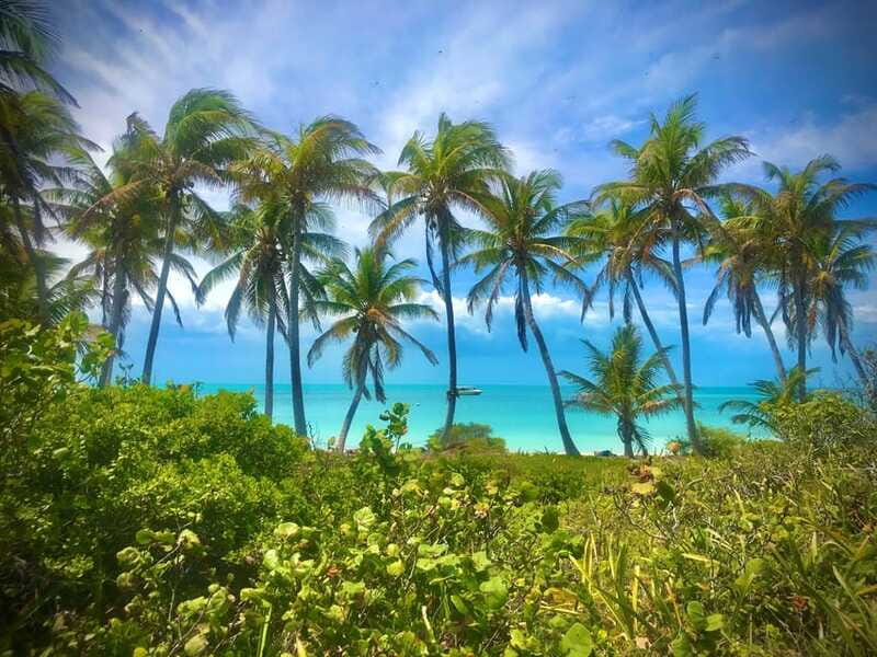 PARADISE ISLAND- ISLA CONTOY AND ISLA MUJERES - Unique Features of This Tour