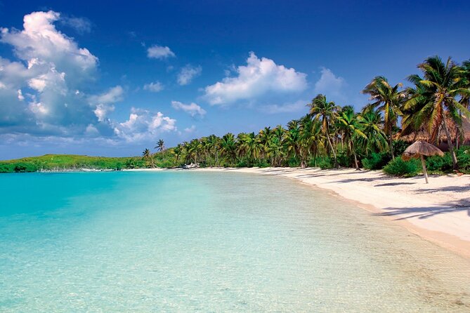 Paradise Islands Tour: Isla Contoy and Isla Mujeres - Key Points