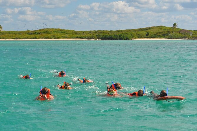 Paradise Islands Tour: Isla Contoy and Isla Mujeres - Included and Excluded Items