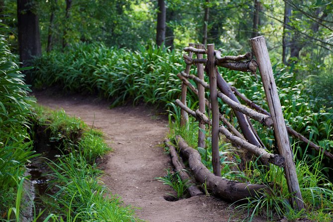 Paradise Valley Beauty Walk - Explore the Scenic Charm of Madeira with the Paradise Valley Beauty Walk