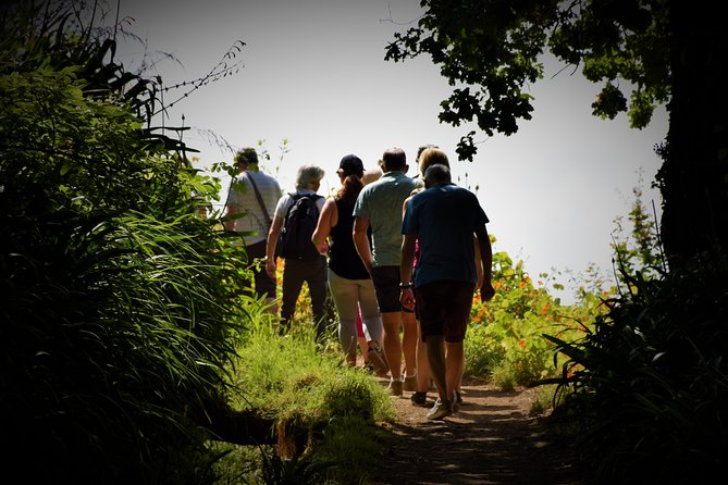 Paradise Valley Beauty Walk - Key Points