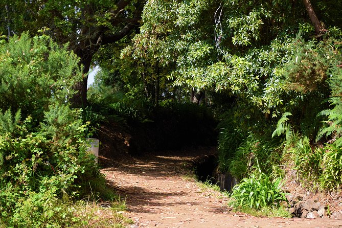 Paradise Valley Beauty Walk - Visit the Wicker Factory in Camacha