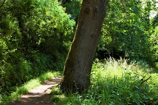 Paradise Valley Beauty Walk - Enjoy the Expertise of a Knowledgeable Guide