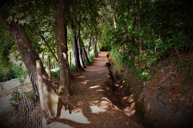 Paradise Valley Beauty Walk - Who Will Appreciate the Paradise Valley Walk?