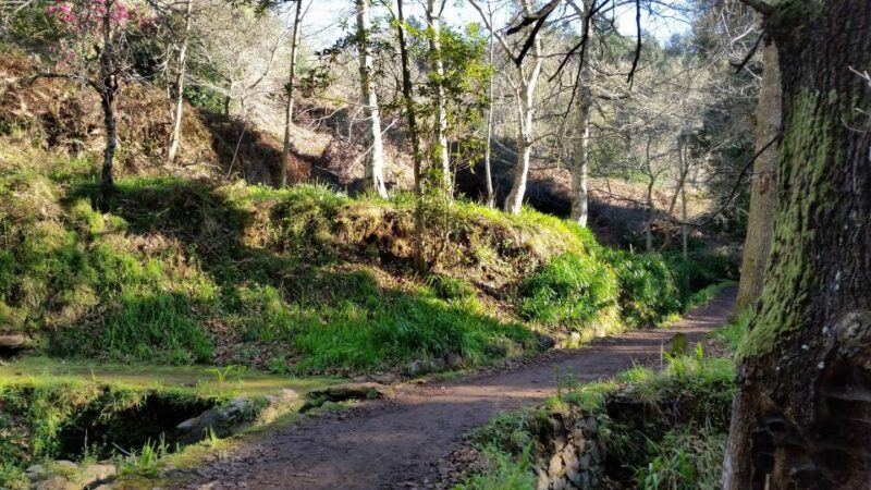 Paradise Valley half-day morning walk. - The Charm of the Camacha Village Overlooks