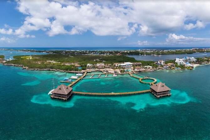 Paradisiacal catamaran to Isla Mujeres tour, includes open bar - Practical Considerations and Additional Fees