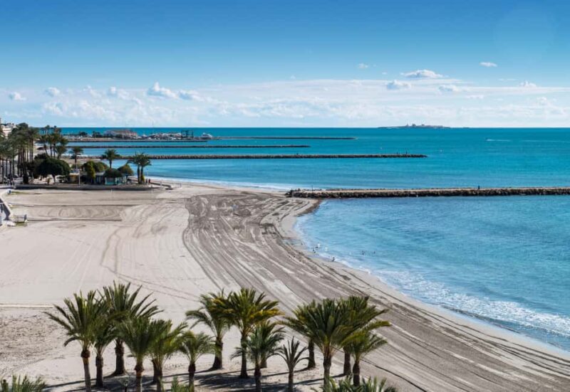 Paragliding adventure in Santa Pola or Agost from Alicante in a private van - Exciting Paragliding Flight from Alicante: Santa Pola or Agost