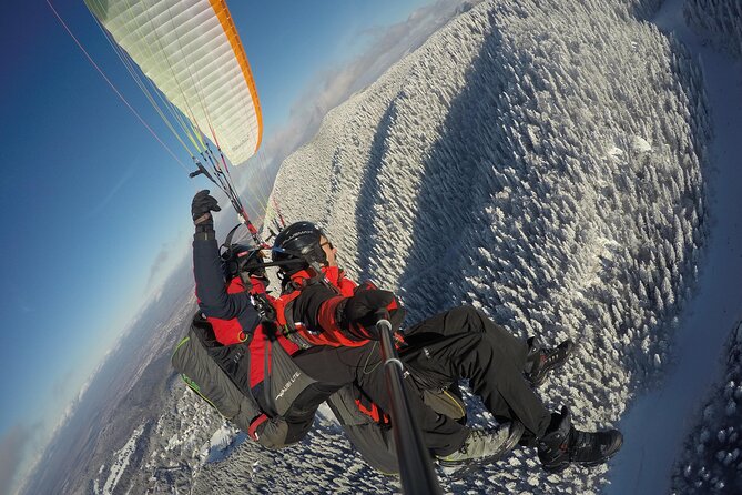 Paragliding Tandem Flight from Bunloc, Brasov - Experience Provider and Customer Support