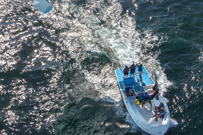 Parasailing Adventure in Los Cabos! Single - Group Size, Booking, and Cost Considerations