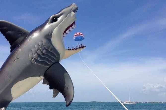 Parasailing over the Historic Key West Seaport - Considerations for Potential Participants