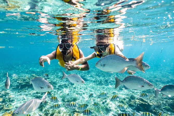 Parasailingcancun and Jet Ski tour over Cancun Bay - Who Will Appreciate This Adventure