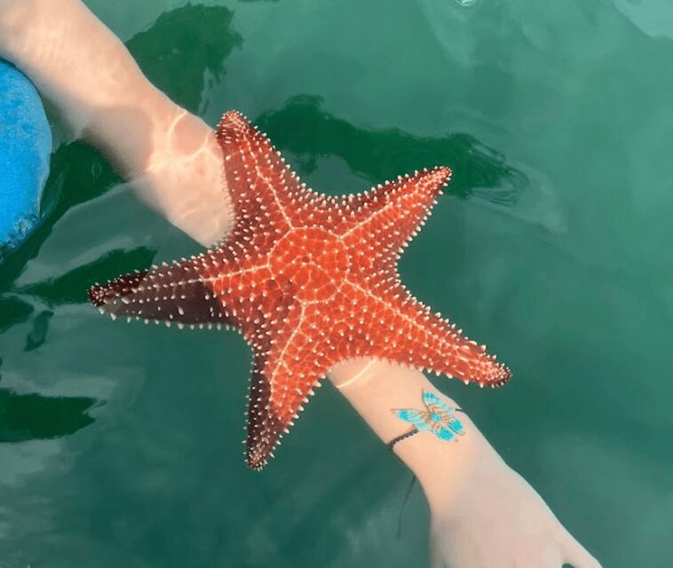 Paraty: A Private Speedboat Experience in Mamangua - The Optional Hike to Pico Pao de Açúcar