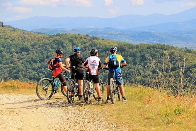 Parenzana Trail Full Day Cycling Tour from Pula, Rovinj, Pore or Buje - Climbing to the Medieval Town of Motovun