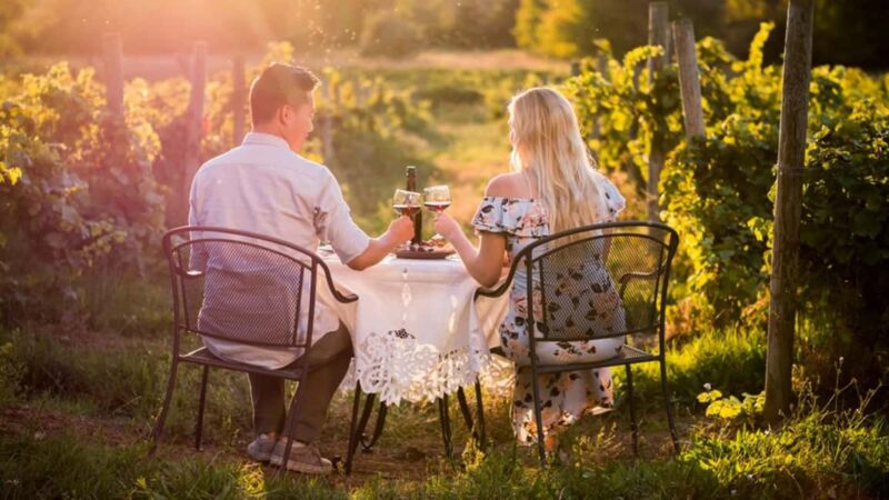Parghelia: Romantic sunset tasting in the vineyard with music - Parghelia: Romantic Sunset Tasting in the Vineyard with Music