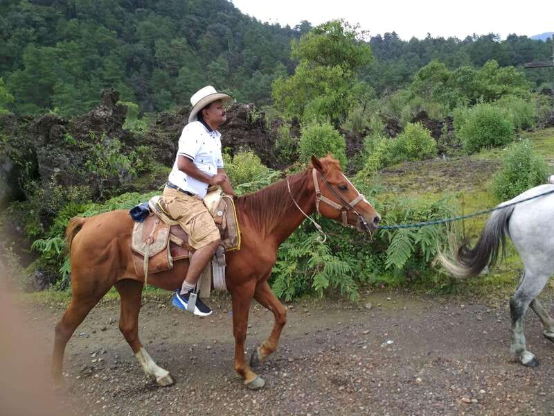Paricutin Volcano Crater Special Tour - The Paricutin Volcano: A Natural Wonder in Michoacán