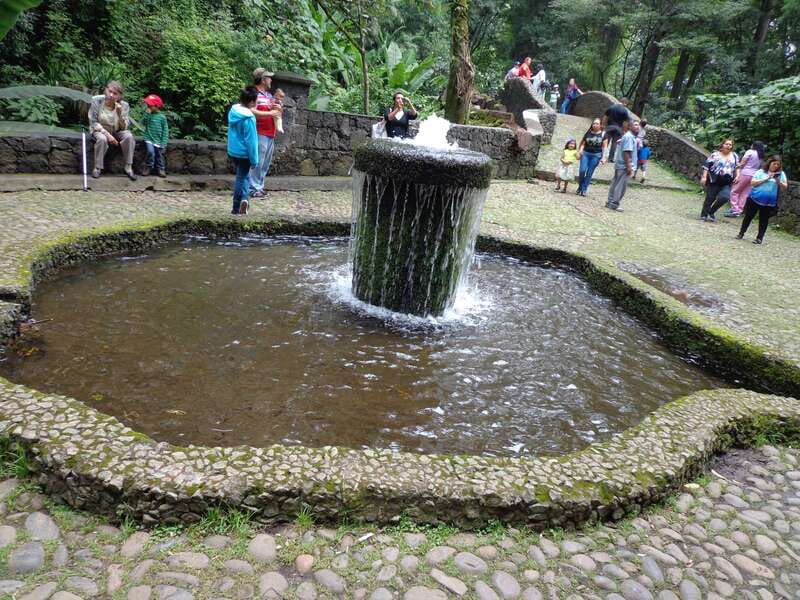 Paricutin Volcano Crater Special Tour - What to Bring and Precautions