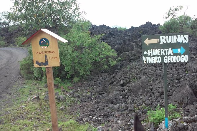 Paricutin Volcano Tour (Morelia) - Flexibility with Cancellation and Weather Considerations