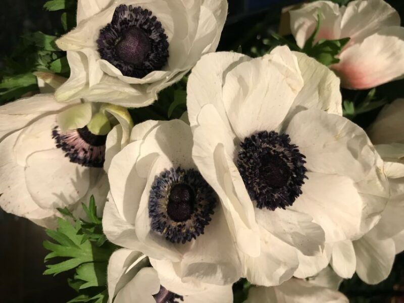 Paris 1h30-Hour Perfume Walking Tour - The Pacing and Length of the Tour