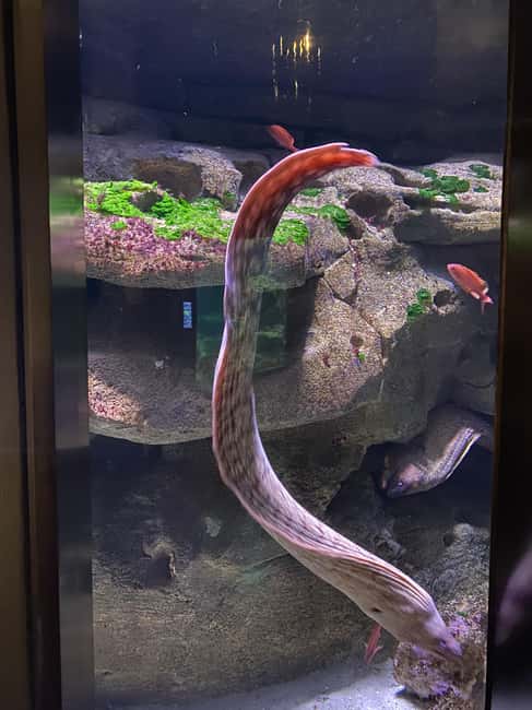 Paris: Aquarium de Paris, A Dive into the Deep Blue Wonder - Key Points