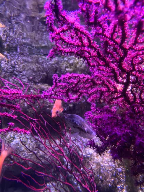 Paris: Aquarium de Paris, A Dive into the Deep Blue Wonder - Interactive Touch Tanks for All Ages