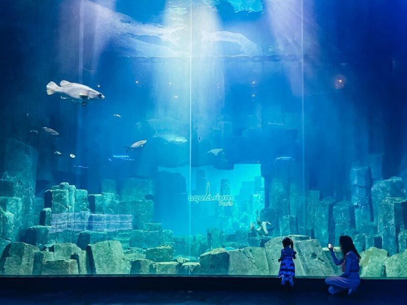 Paris: Aquarium de Paris Entrance Ticket - Explore the Marine World at Aquarium de Paris for $26