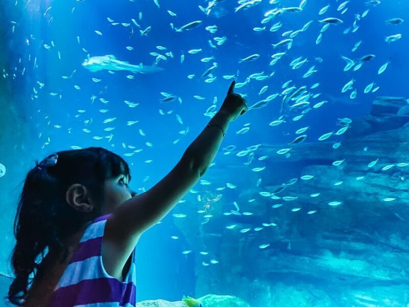 Paris: Aquarium de Paris Entrance Ticket - What Marine Life Will You See?