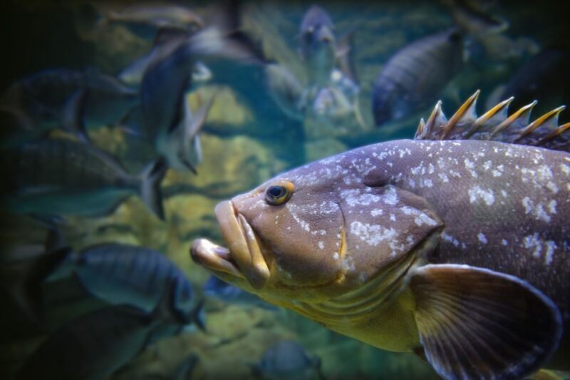 Paris: Aquarium de Paris Entrance Ticket - Interactive Workshops and Live Shows