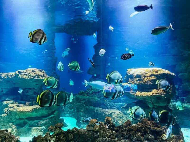 Paris: Aquarium de Paris Entrance Ticket - The Aquarium’s Exhibitions and Documentary Screenings