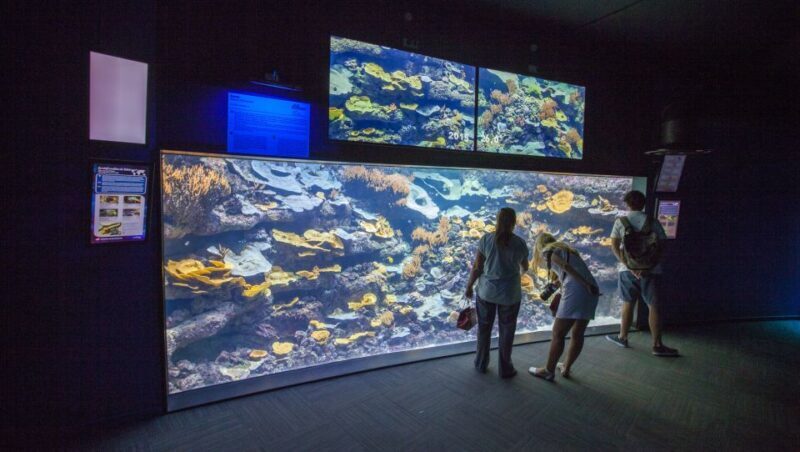 Paris: Aquarium de Paris Entrance Ticket - How the Reviews Reflect the Experience