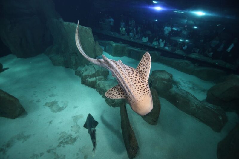 Paris: Aquarium de Paris Entrance Ticket - Who Will Enjoy This Tour Most?