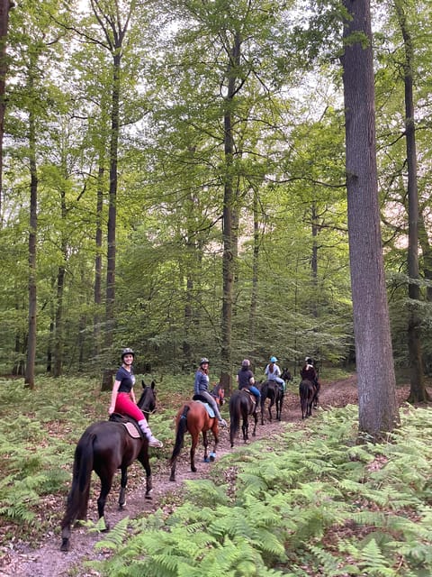 Paris: Aumont-en-Halatte Horseback Riding Tour - What Makes the Horses and Guides Special?