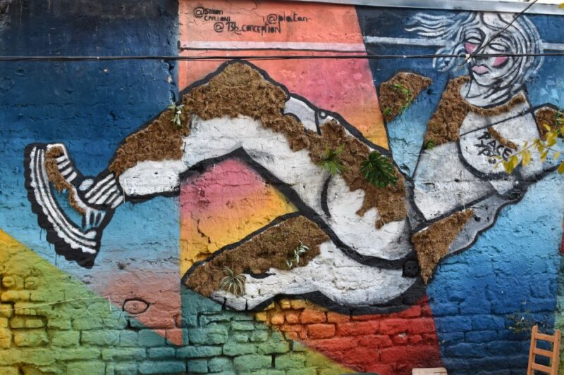 Paris: Belleville Street Art Tour with an Artist - Key Points