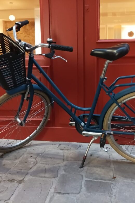 Paris: Bike rental in Le Marais (City Center) - Key Points