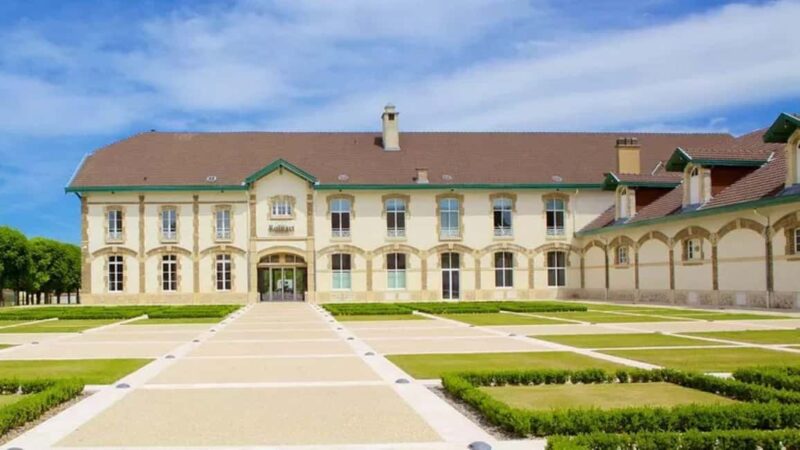 Paris: Champagne Region & Reims Private Day Trip - Exploring Reims and the UNESCO-listed Cathedral