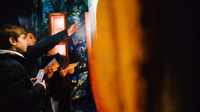 Paris: Choco-Story Museum Entry and Seine River Cruise Combo - The Seine River Batobus: A Flexible Way to See Paris