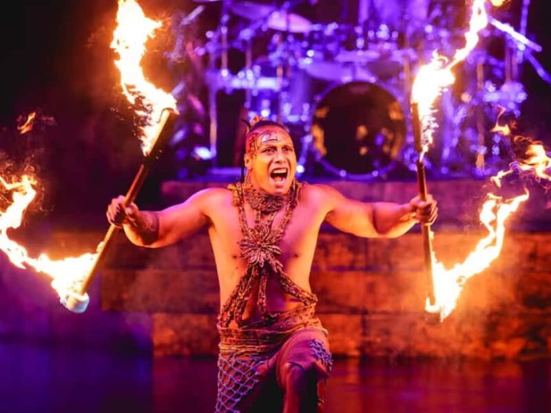 Paris: Cirque du Soleil Alegría Ticket - Entering the World of Alegría in Paris