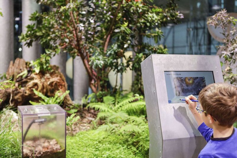 Paris: City of Science and Industry Museum Entry Ticket - The Planetarium Show and Astronomical Discoveries