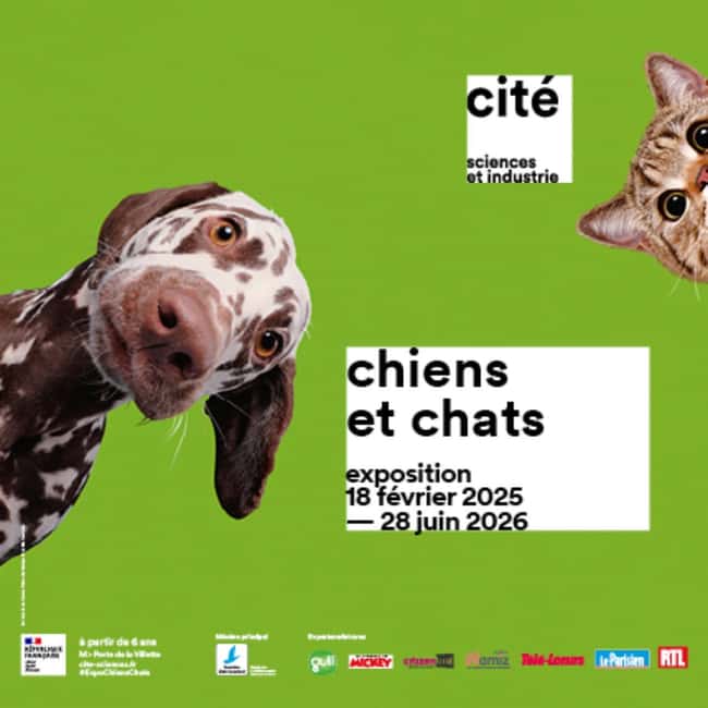 Paris: City of Science and Industry Museum Entry Ticket - The Solar Impulse Simulator: Flying Without Fuel