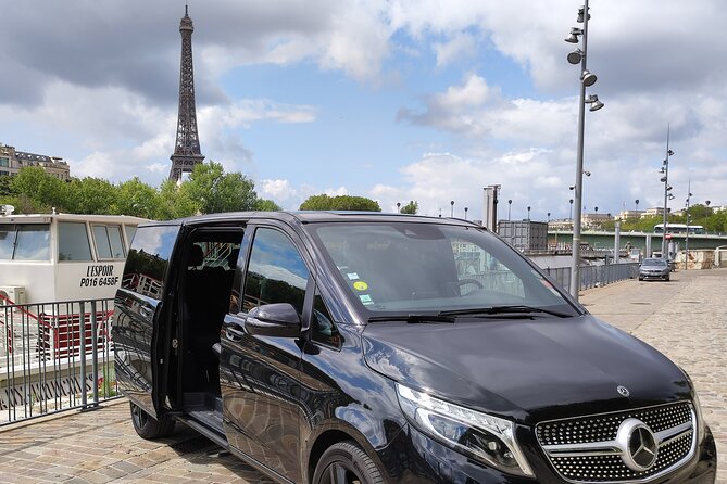 PARIS city tour in a luxury VIP minivan - Logistics and Accessibility