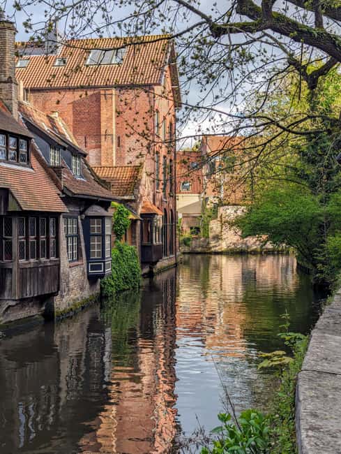 Paris: Day trip to Brussels and Bruges by train. - Logistics and Group Experience