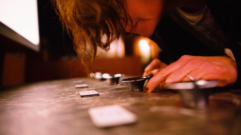 Paris: Entrance Ticket to the Chocolate Museum - Why This Tour Will Delight Chocolate Enthusiasts