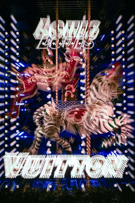 Paris: Experience the magic of Christmas on a walk with a pro photographer - Professional Photography and Personalized Tips