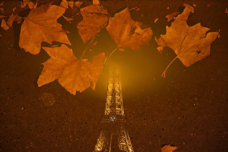 Paris: Experience the magic of Christmas on a walk with a pro photographer - Practicalities and What to Bring