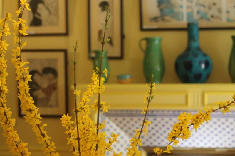 Paris: Giverny Gardens Day Trip with Professional Tour Guide - Accessibility and Group Experience